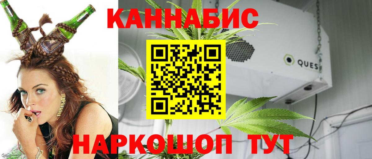 Шишки марихуана марихуана Будённовск